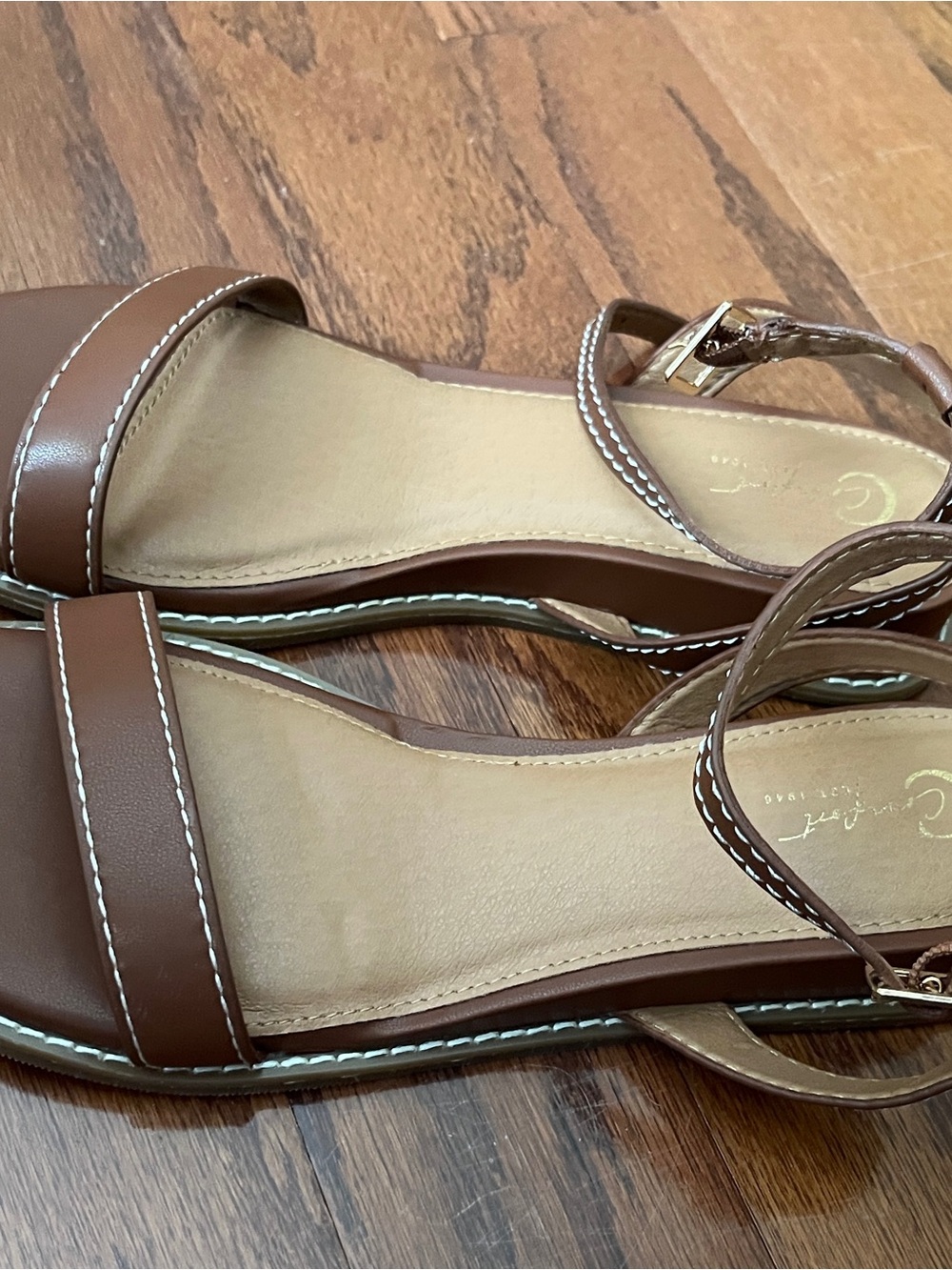 Cato Brown Ankle-Strap Flat Sandals